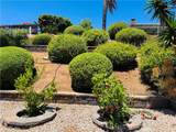 12488 Mantilla Road - Photo 26