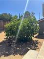 8723 Palomar Avenue - Photo 21