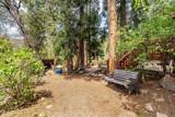 25025 Fern Valley Road - Photo 36