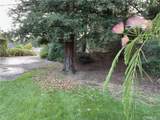 42177 Lone Olive Lane - Photo 56