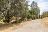 42490 Ranger Circle Way - Photo 43