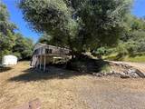 20853 Lyons Bald Mountain Road - Photo 2