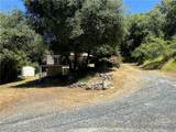 20853 Lyons Bald Mountain Road - Photo 3