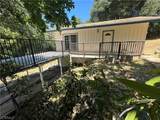 20853 Lyons Bald Mountain Road - Photo 4