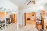 13932 Pinellia Street - Photo 11