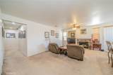 13932 Pinellia Street - Photo 16