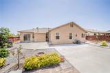 13932 Pinellia Street - Photo 5
