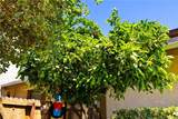 73 Mockingbird Lane - Photo 45