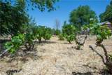 9892 River Road - Photo 32