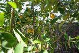 9892 River Road - Photo 38