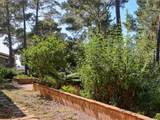 455 Chiswick Way - Photo 62