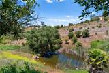 3520 Canonita Drive - Photo 46