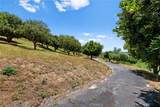 3520 Canonita Drive - Photo 47