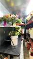 1419 Tustin Street - Photo 7