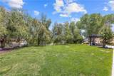 30902 Carmen Drive - Photo 51