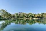 29159 Palm View Lane - Photo 31