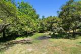 280 Azalea Lane - Photo 73