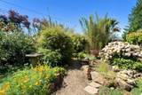 280 Azalea Lane - Photo 88