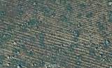 12 Avenue P-8 - Photo 7