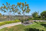 30252 Sonrisa Lane - Photo 28