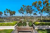 30252 Sonrisa Lane - Photo 30