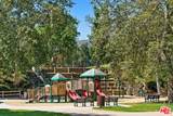 30007 Trail Creek Drive - Photo 38