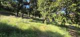 30010 Olivia Drive - Photo 2