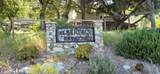 30010 Olivia Drive - Photo 3