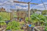 420 Yellowbrick Road - Photo 14