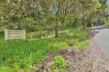 420 Yellowbrick Road - Photo 17