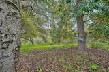 420 Yellowbrick Road - Photo 8