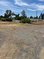 5382 Black Olive Drive - Photo 3
