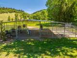 3901 Canyon Road - Photo 16