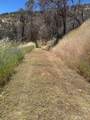 5358 Mariposa Heights Road - Photo 2