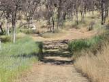 5358 Mariposa Heights Road - Photo 5