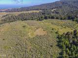 42000 Mountain View Road - Photo 19