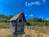42000 Mountain View Road - Photo 43