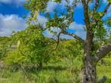 42000 Mountain View Road - Photo 44