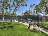 141 Mira Mesa - Photo 47