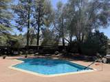 28857 Old Highway 80 - Photo 22