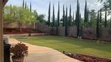 44207 Reidel Street - Photo 30