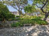 3616 Via La Selva - Photo 4