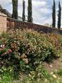 14037 Hollywood Ave - Photo 46
