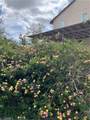 14037 Hollywood Ave - Photo 49