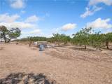 49333 Riverside Road - Photo 19
