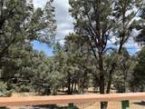 98011 Maine Road - Photo 29