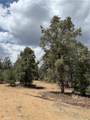 98011 Maine Road - Photo 32