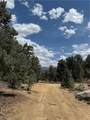 98011 Maine Road - Photo 39