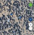 98011 Maine Road - Photo 40