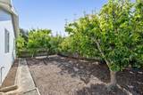 1304 Alicante Drive - Photo 27